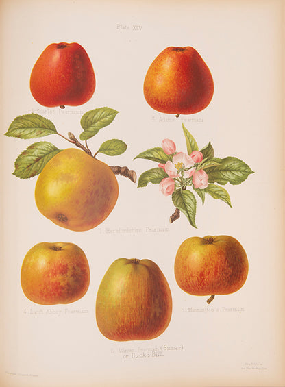 The Herefordshire Pomona is a classic in the science and practice of pomology.