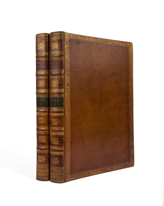A rare and extremly fine collection of 115 watercolours by the noted ornithological artist Charles Hayes, produced between 1808 and 1813.