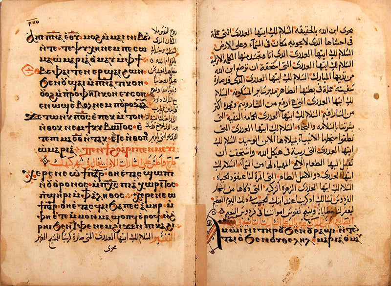 A manuscript in dual Arabic and coptic text copied in the monastery of saint anthony in Egypt in 1830. 