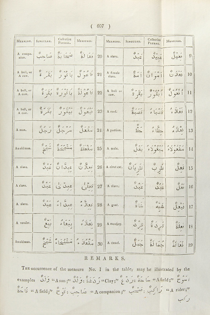 Lumsden's Grammar is rare. It 'forms a complete treatise in itself, since it exhausts the Science of Arabic Inflexion' (Preface). The intended second volume on Arabic syntax was never published