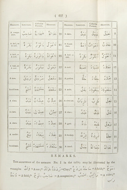 Lumsden's Grammar is rare. It 'forms a complete treatise in itself, since it exhausts the Science of Arabic Inflexion' (Preface). The intended second volume on Arabic syntax was never published