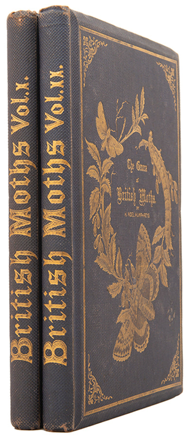 One of the most attractive natural history books of the period, the moths and caterpillars set against attractive backgrounds.