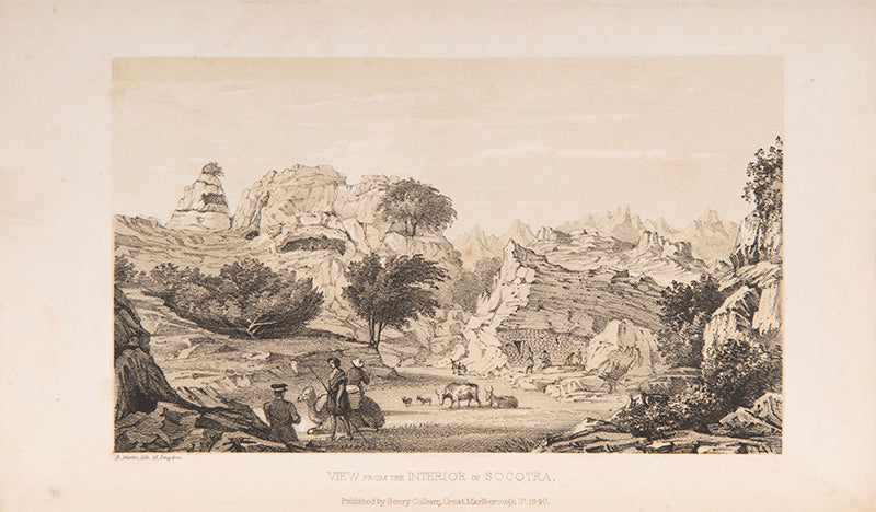 Wellsted's classic work on the Gulf States, including Oman and the coasts of Arabia and Nubia.