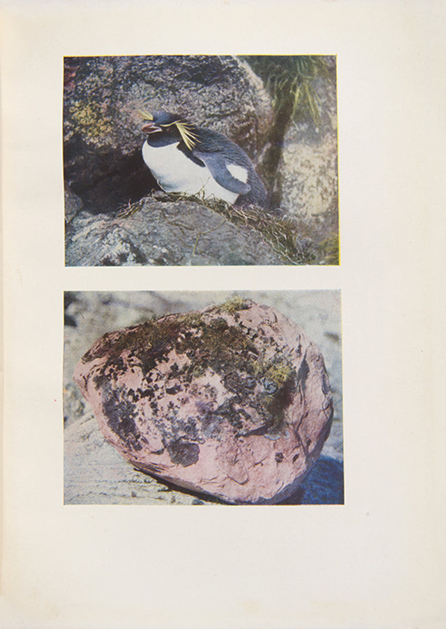 rare inscribed copy of the first edition of Mawson's classic account of heroic age exploit' with stunning photography