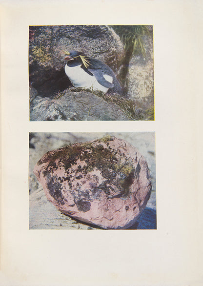 rare inscribed copy of the first edition of Mawson's classic account of heroic age exploit' with stunning photography