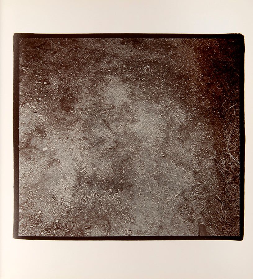These photographs are taken with a strobe flash in the desert at night, revealing cacti and details of the desert floor. For Richard Misrach, an important conceptual component of this book is the lack of a title, with the publisher's information appearing on the spine and nowhere else.