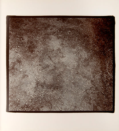 These photographs are taken with a strobe flash in the desert at night, revealing cacti and details of the desert floor. For Richard Misrach, an important conceptual component of this book is the lack of a title, with the publisher's information appearing on the spine and nowhere else.