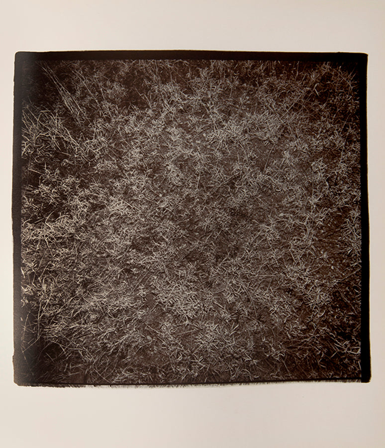 These photographs are taken with a strobe flash in the desert at night, revealing cacti and details of the desert floor. For Richard Misrach, an important conceptual component of this book is the lack of a title, with the publisher's information appearing on the spine and nowhere else.