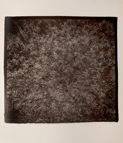 These photographs are taken with a strobe flash in the desert at night, revealing cacti and details of the desert floor. For Richard Misrach, an important conceptual component of this book is the lack of a title, with the publisher's information appearing on the spine and nowhere else.