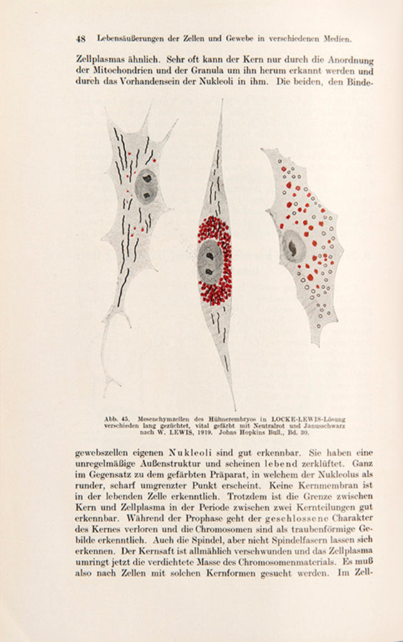 First edition of the first German textbook on tissue culture, with applications for cancer research, Rhoda Erdmann's Praktikum der Gewebepflege, published in 1922.