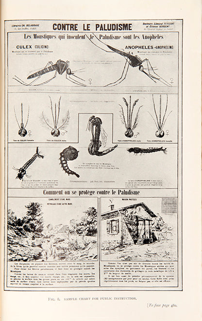 First edition of The Prevention of Malaria, a comprehensive work on malaria epidemiology by Ronald Ross, the doctor who identified its transmission route.