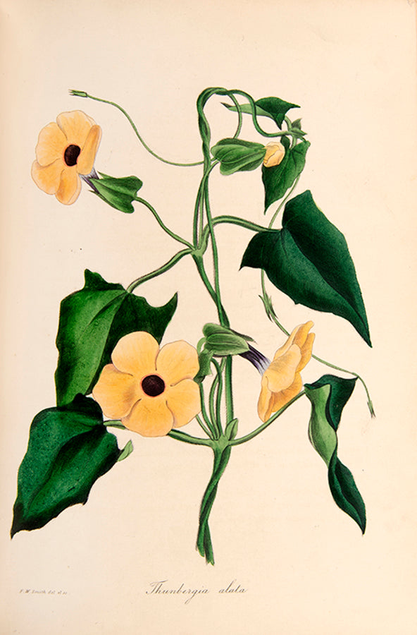 First edition of this important botanical magazine with over 700 plates.