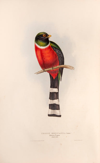 First edition of A Monograph of the Trogonidae or Family of Trogons by John Gould.