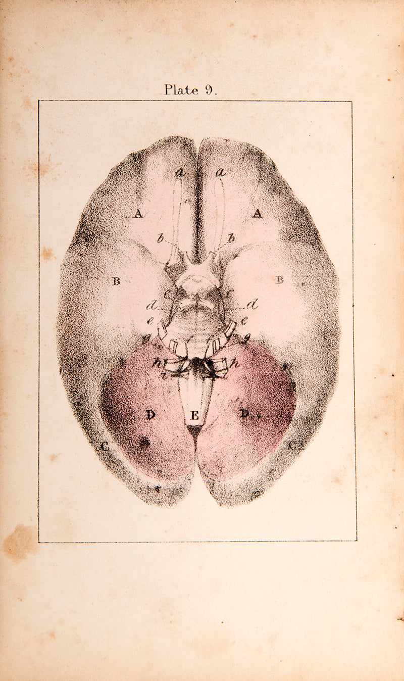 The rare first edition of Charles Bell's Organs of the Senses Familiarly Described, with hand-coloured anatomical plates.