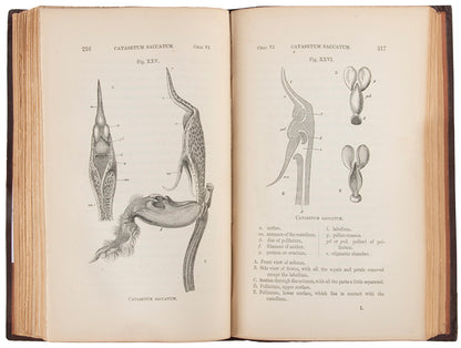 First edition, first issue, of Fertilisation of Orchids, an important contribution to Darwin's theory of evolution by natural selection, published in 1862.