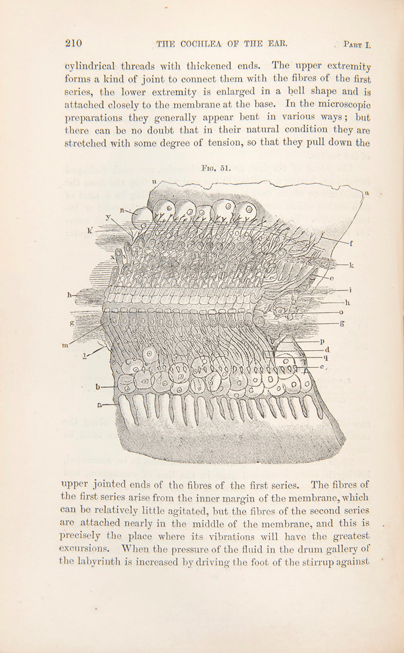 First English language edition of Hermann Helmholtz's important work on the physics of sound, Sensations of Tone (1875), with the bookplate of Oliver Sacks.<br />