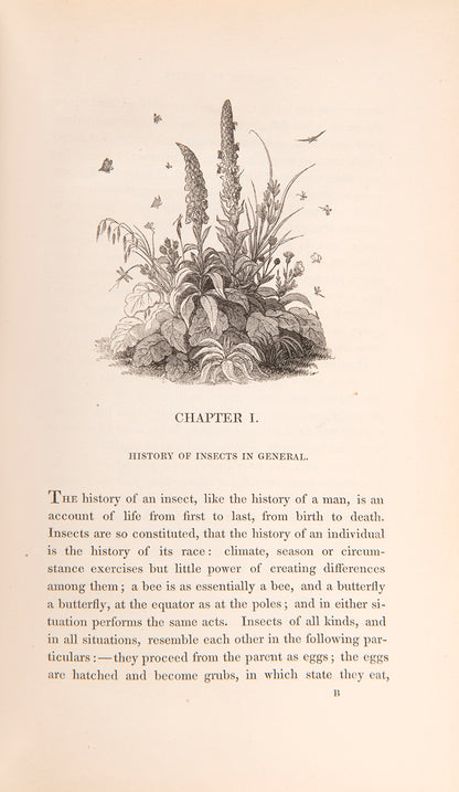 Edward Newman's Familiar Introduction to the History of Insects, second, expanded, edition of his Grammar of Entomology, handsomely bound