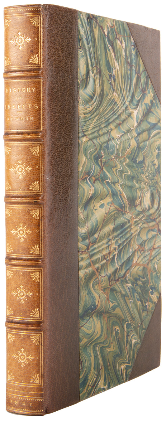 Edward Newman's Familiar Introduction to the History of Insects, second, expanded, edition of his Grammar of Entomology, handsomely bound