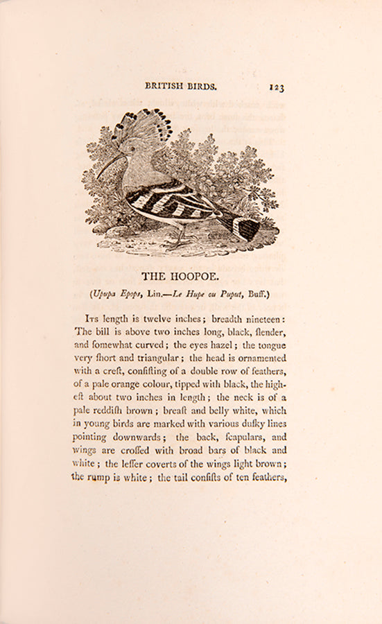 An exceptional imperial octavo set, one of only 24 copies of the Land Birds thus, finely bound in crushed morocco, all first editions save for quadrupeds.
