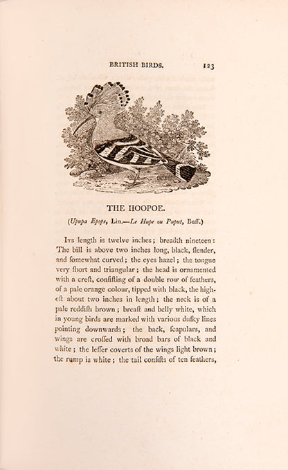 An exceptional imperial octavo set, one of only 24 copies of the Land Birds thus, finely bound in crushed morocco, all first editions save for quadrupeds.