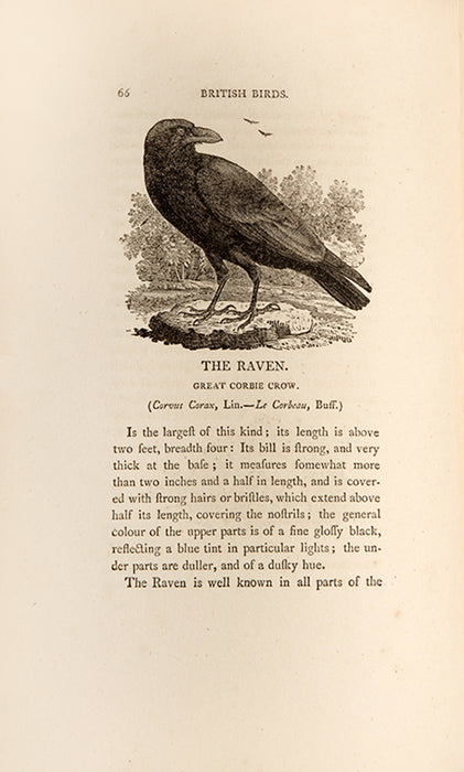 History of British Birds [with] A Supplement to the History of British Birds, A General History of Quadrupeds [and] The Fables of Aesop.