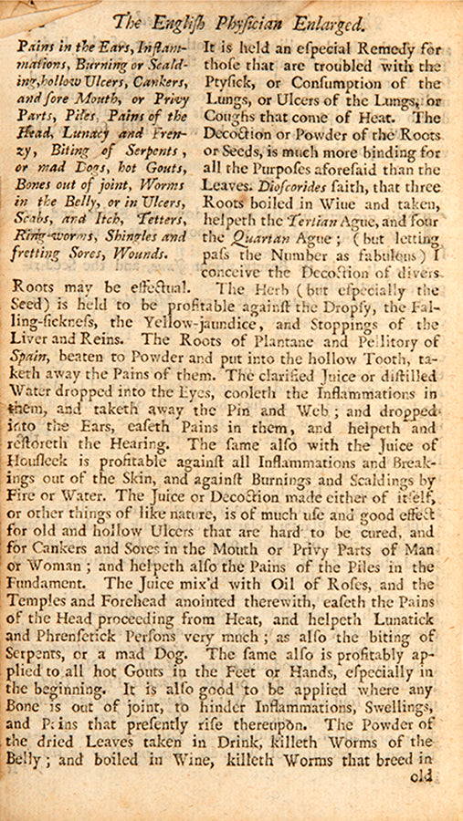 An early edition of Nicholas Culpeper's herbal The English Physician