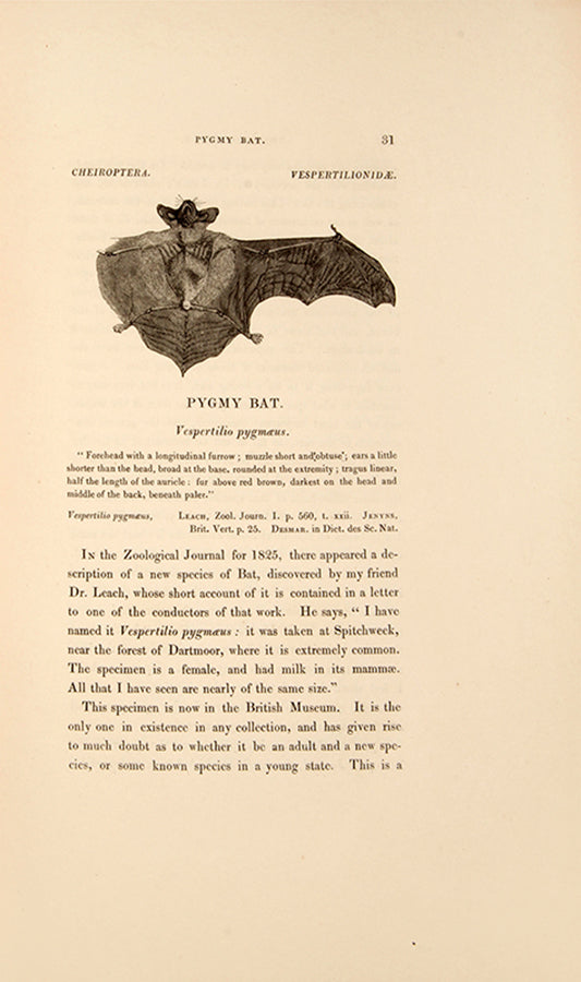 A handsomely bound imperial octavo set, all first editions, copiously illustrated.