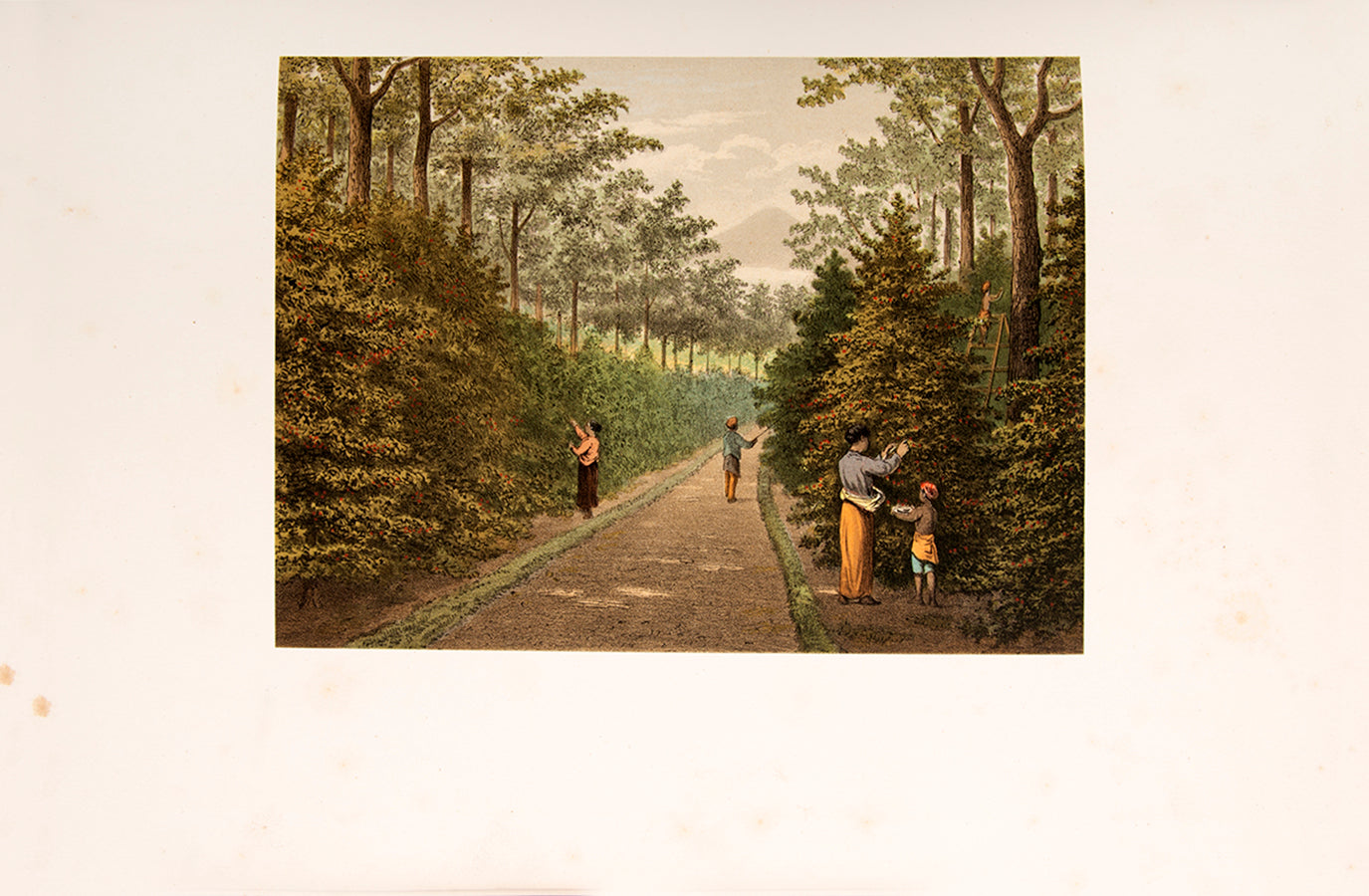 Rare complete set consisting of Batavia, Java, Buitenzorg, and De Buitenbezittingen (outer possessions).