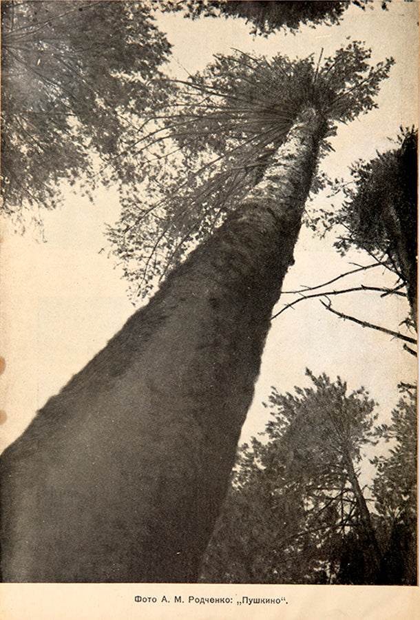 A complete set of LEF and Noviy LEF.