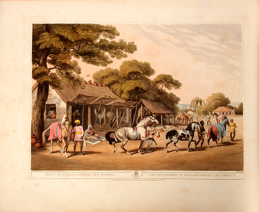 Williamson's Oriental Field Sports is a valuable record of the sporting activities of British officers serving in India in the early nineteenth century.