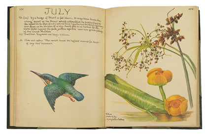 A handsome copy of The Country Life of an Edwardian Lady, in a half-green morocco binding.