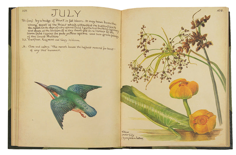 A handsome copy of The Country Life of an Edwardian Lady, in a half-green morocco binding.