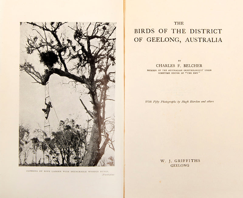 First edition of one of the most significant of Australian bird books, The Birds of the District of Geelong by Charles E. Belcher.
