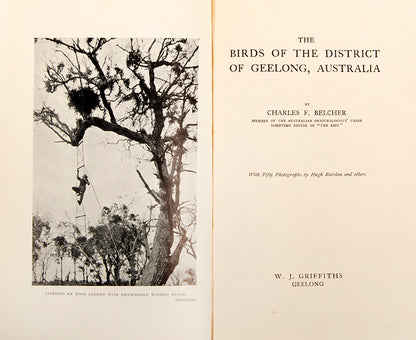 First edition of one of the most significant of Australian bird books, The Birds of the District of Geelong by Charles E. Belcher.