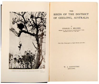 Moyen-Orient. Liban -Syrie-Jordanie - Irak -Iran.