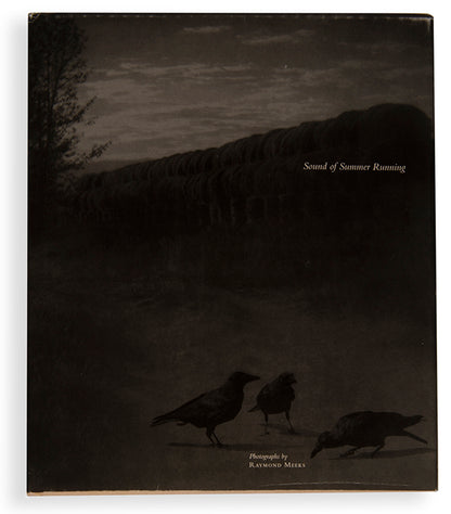 Sound of Summer Running is Raymond Meeks' celebration of family relationships. It is a broad portrait of the joys of Summer and the ease which settles over family life during those times.