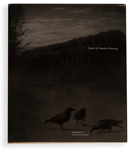 Sound of Summer Running is Raymond Meeks' celebration of family relationships. It is a broad portrait of the joys of Summer and the ease which settles over family life during those times.
