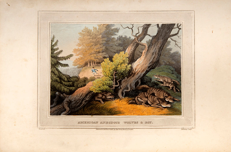 Foreign Field Sports, Fisheries, Sporting Anecdotes by Samuel Howitt, containing 110 hand-coloured aquatints showing hunting scenes from around the world.