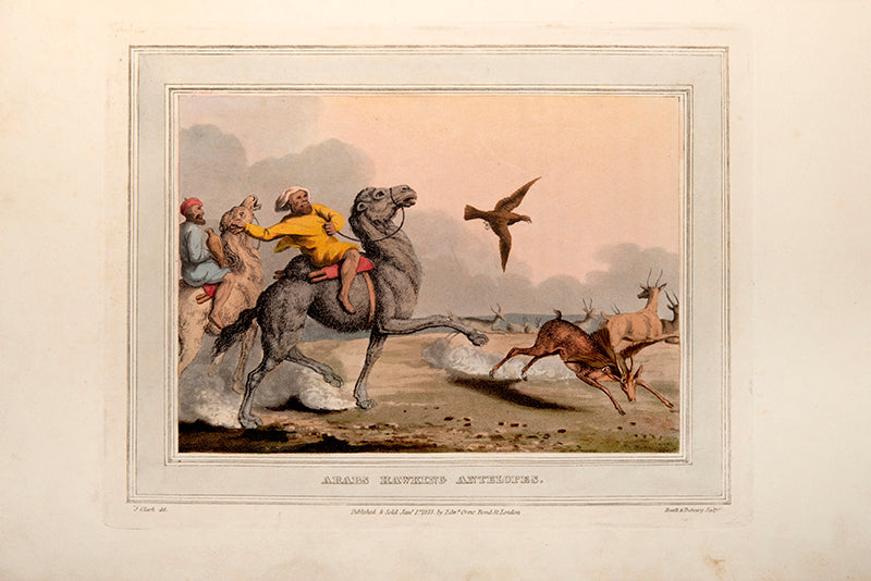 Foreign Field Sports, Fisheries, Sporting Anecdotes by Samuel Howitt, containing 110 hand-coloured aquatints showing hunting scenes from around the world.