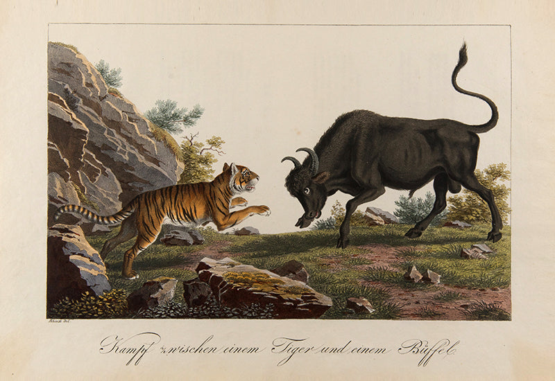 First edition of Skizzen von der Insel Java by Josef Jakob Xaver Pfyffer zu Neueck, with 15 fine hand-coloured plates of Javanese costume, weapons, coins, and wildlife.