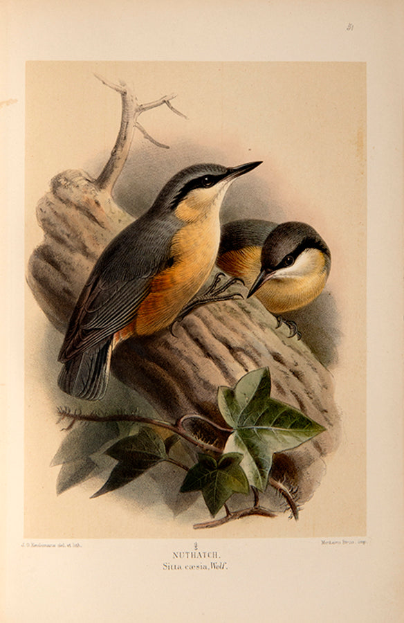 First edition of Sporting Discoveries or the Miseries of Shooting by Henry Alken, with 7 satirical hand-coloured plates.