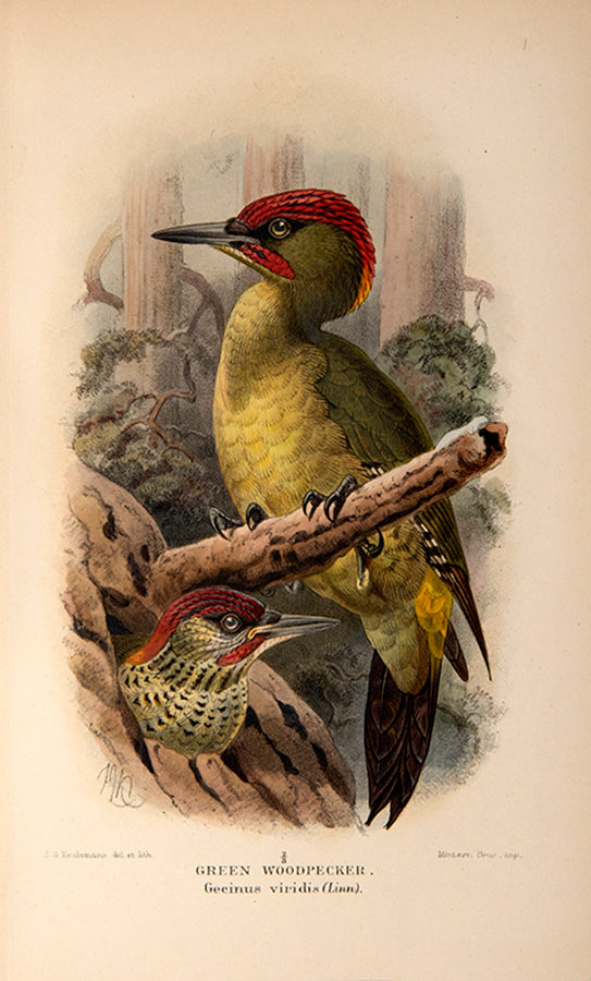 First edition of Sporting Discoveries or the Miseries of Shooting by Henry Alken, with 7 satirical hand-coloured plates.