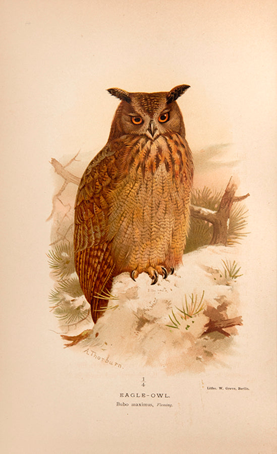 First edition of Sporting Discoveries or the Miseries of Shooting by Henry Alken, with 7 satirical hand-coloured plates.