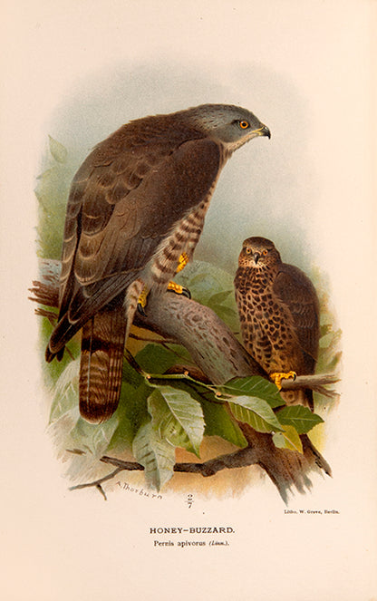 First edition of Sporting Discoveries or the Miseries of Shooting by Henry Alken, with 7 satirical hand-coloured plates.