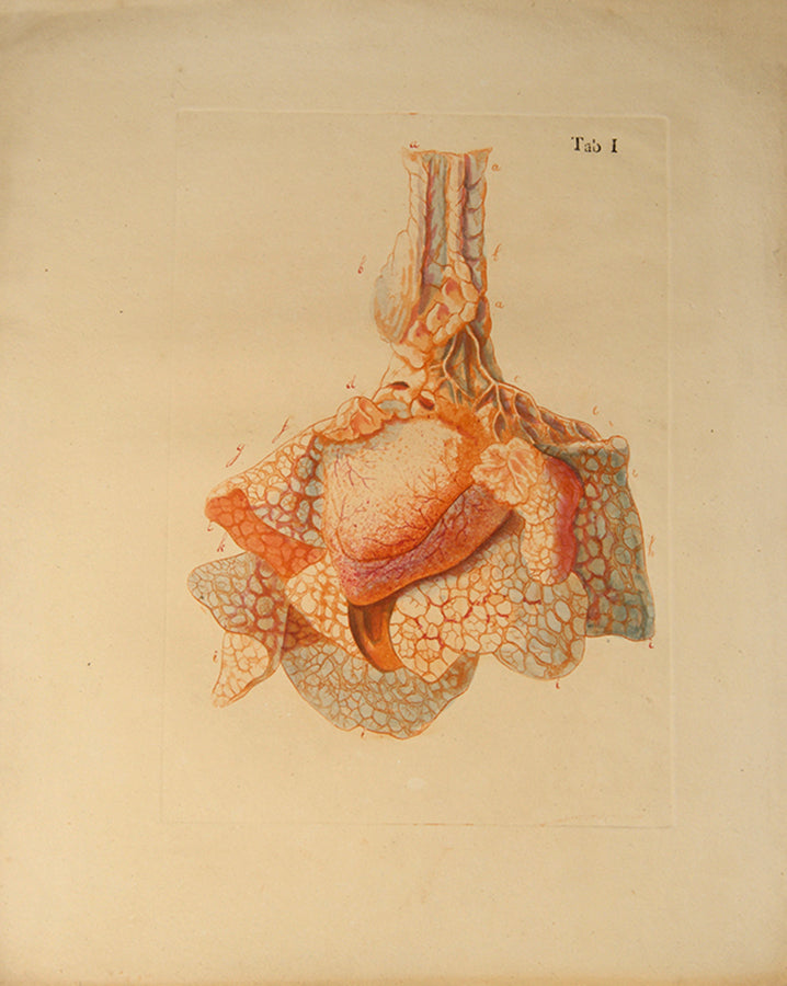 First edition of an early work on the anatomy of tissues and one of the first colour printed works on microscopy, Jan Bleuland's Icones Anatomico-Physiologicae, 1826.