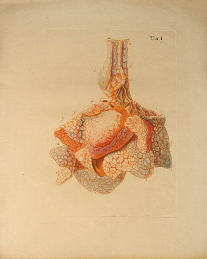 First edition of an early work on the anatomy of tissues and one of the first colour printed works on microscopy, Jan Bleuland's Icones Anatomico-Physiologicae, 1826.