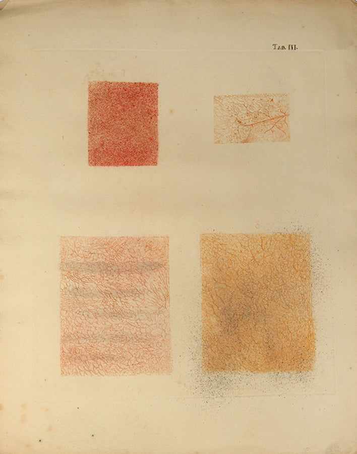 First edition of an early work on the anatomy of tissues and one of the first colour printed works on microscopy, Jan Bleuland's Icones Anatomico-Physiologicae, 1826.