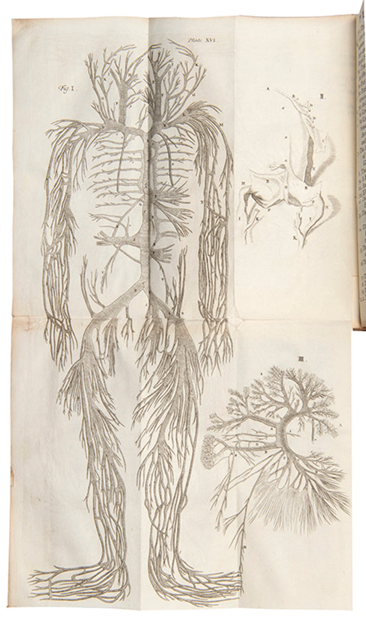 A later printing of this unusual and attractively illustrated work, Anatomy Epitomized and Illustrated, by physician Thomas Gibson.