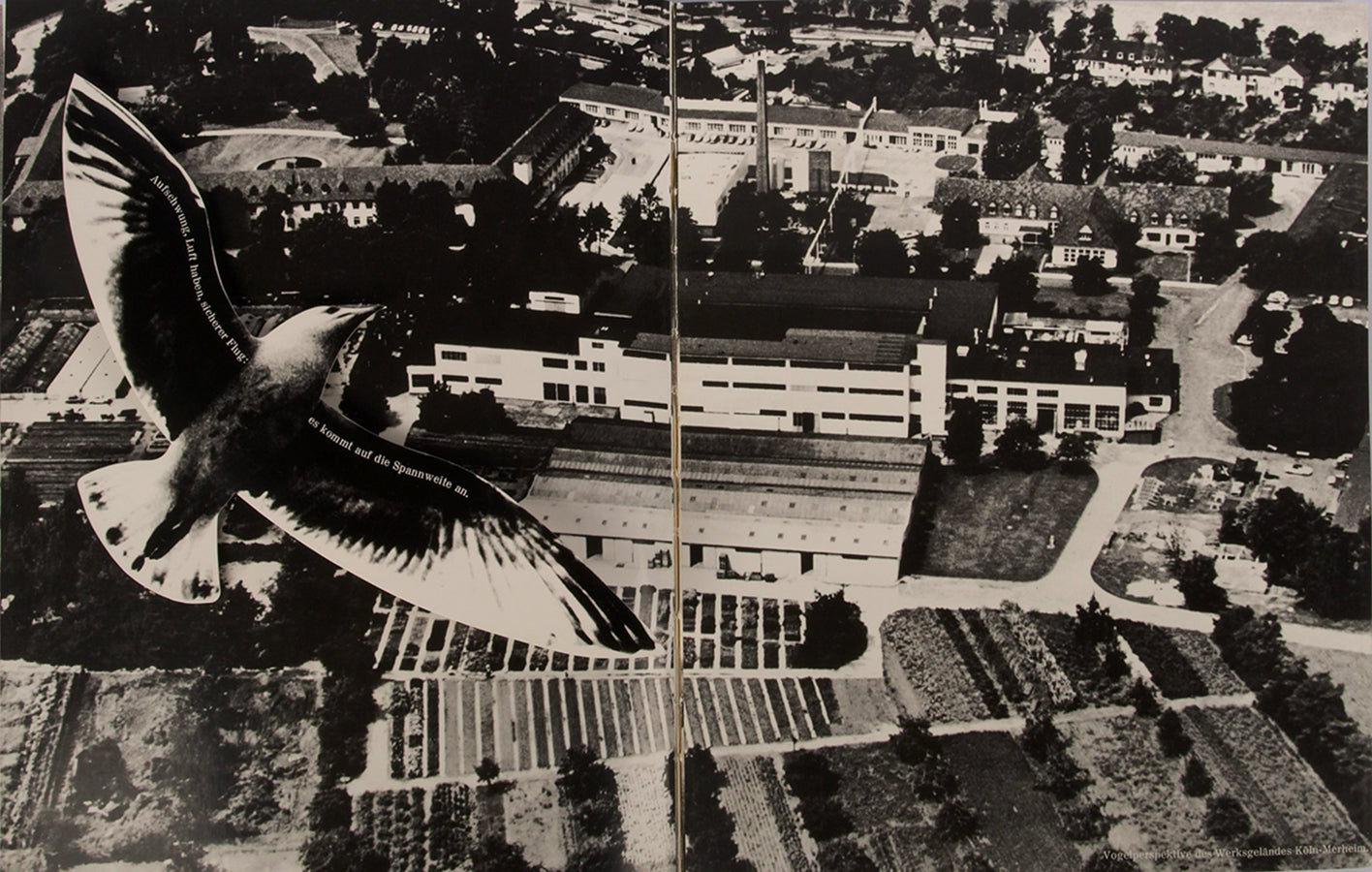 This innovative company book was issued to commemorate the fiftieth anniversary of Cologne-based pharmaceuticals company Dr. Madaus.