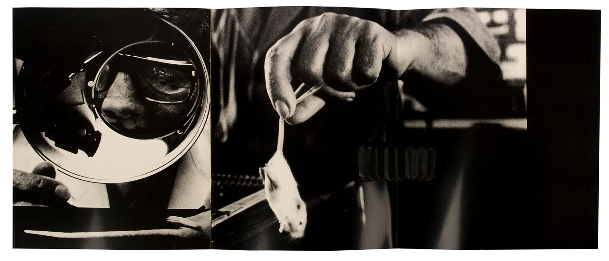 This innovative company book was issued to commemorate the fiftieth anniversary of Cologne-based pharmaceuticals company Dr. Madaus.